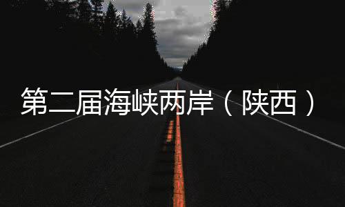 第二届海峡两岸(陕西)青少年足球交流赛榆林开赛