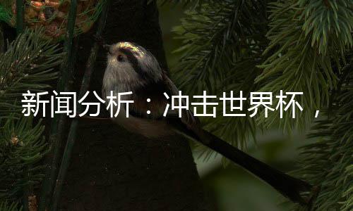 新闻分析:冲击世界杯,中国男足必须连赢两场“生死战”