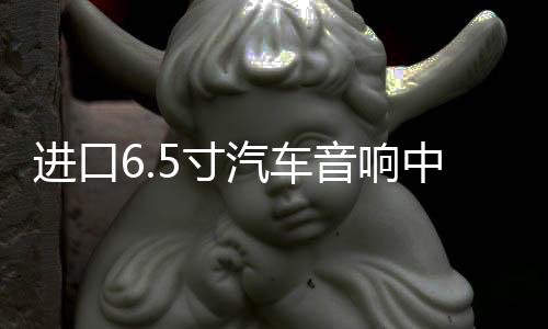 进口6.5寸汽车音响中重低音发烧车载喇叭改装适用于迈腾别克等车