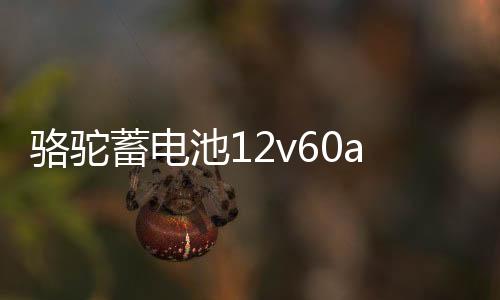 骆驼蓄电池12v60ah汽车电瓶L2400用于科鲁兹速腾宝来朗逸迈腾途观