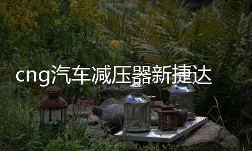 cng汽车减压器新捷达新桑塔纳出租车替代原车减压阀天然气配件
